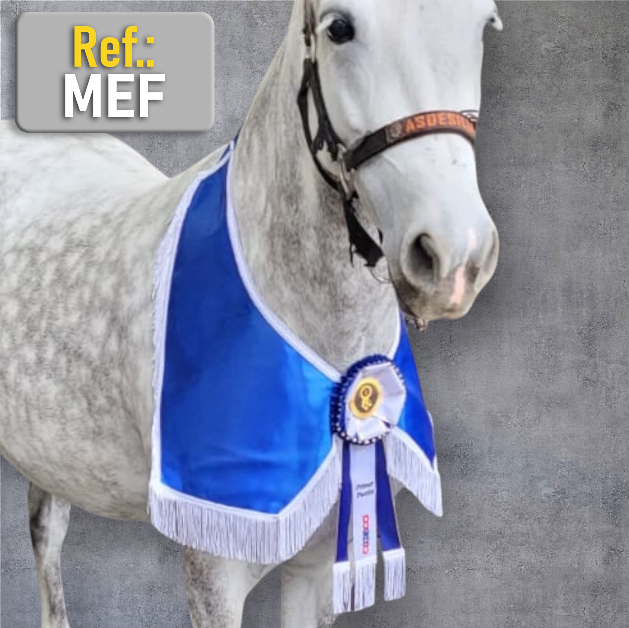 Manta Lisa para Eventos Equinos