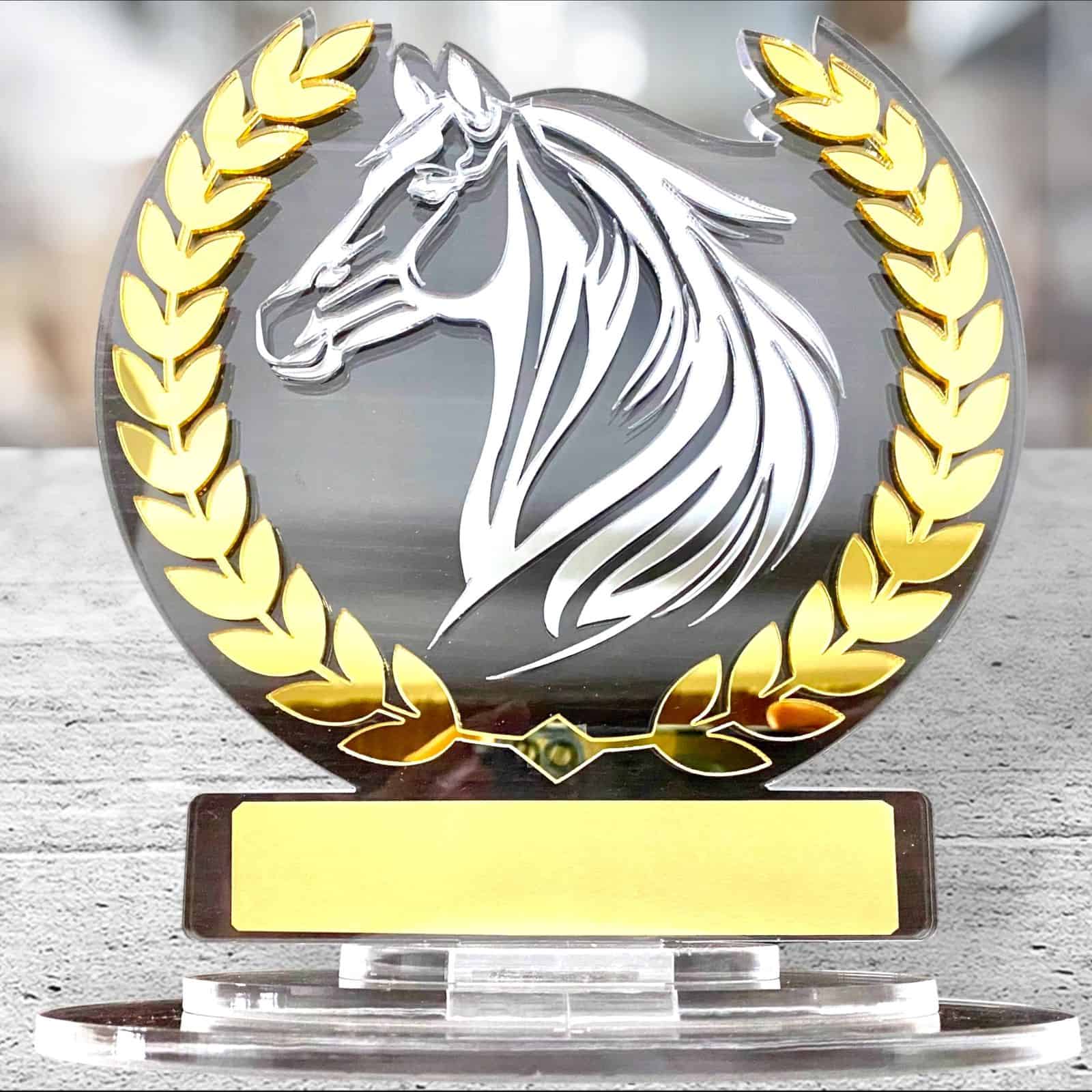 Trofeo Totalmente en Acrílico Transparente Espejo