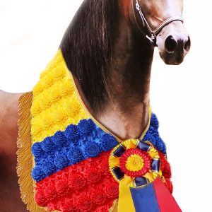 Manta con Claveles para Equinos Grandes Campeones