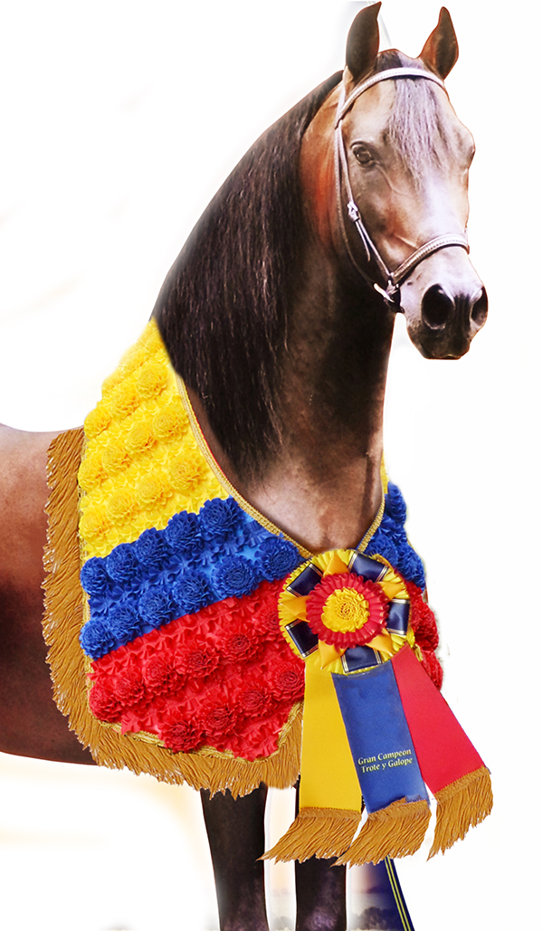 Manta con Claveles para Equinos Grandes Campeones