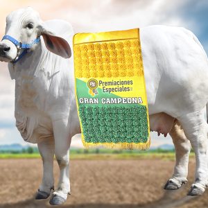 Manta con Claveles para Bovino