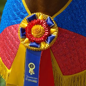 Manta Equina Acolchada y lentejuelas brillantes