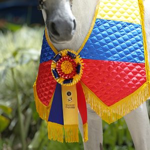 Manta Equina Acolchada