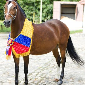 Manta Equina con Plisados