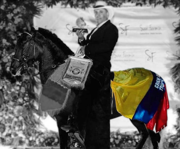 Manta Equina Trasera