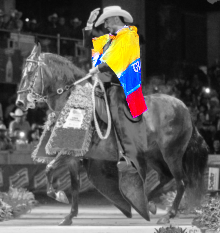 Manta Equina Trasera