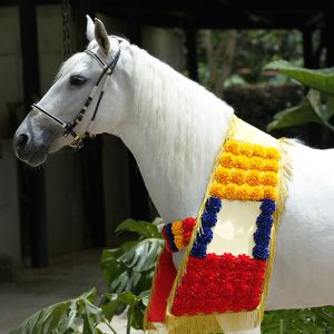 Tapete Equino con Claveles y Placa