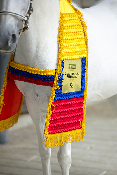 Tapete Equino con Plisados y Placa