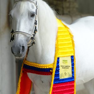 Tapete Equino con Plisados y Placa