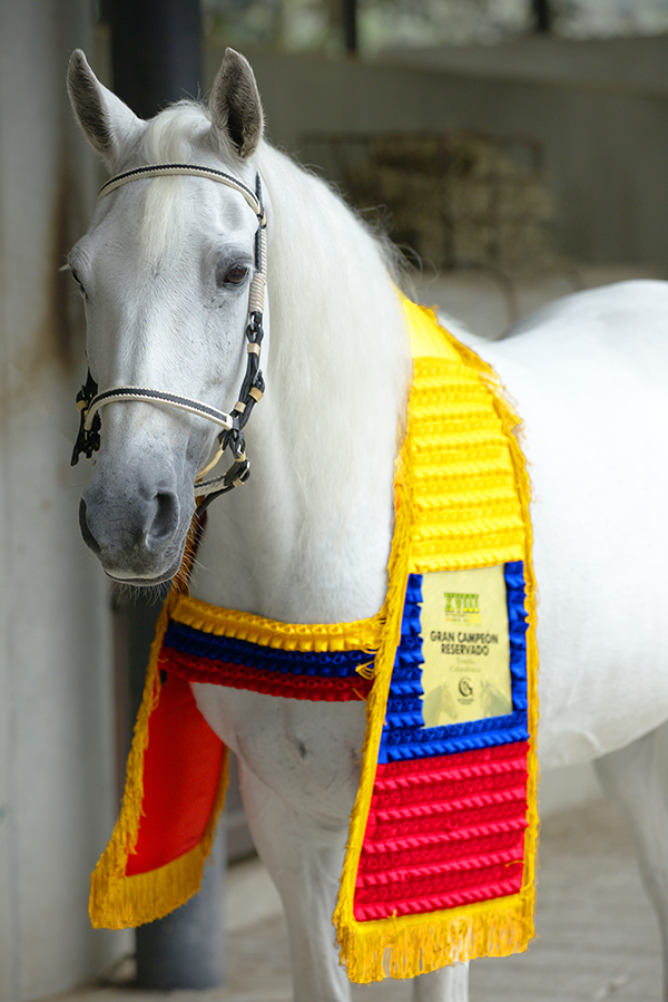 Tapete Equino con Plisados y Placa